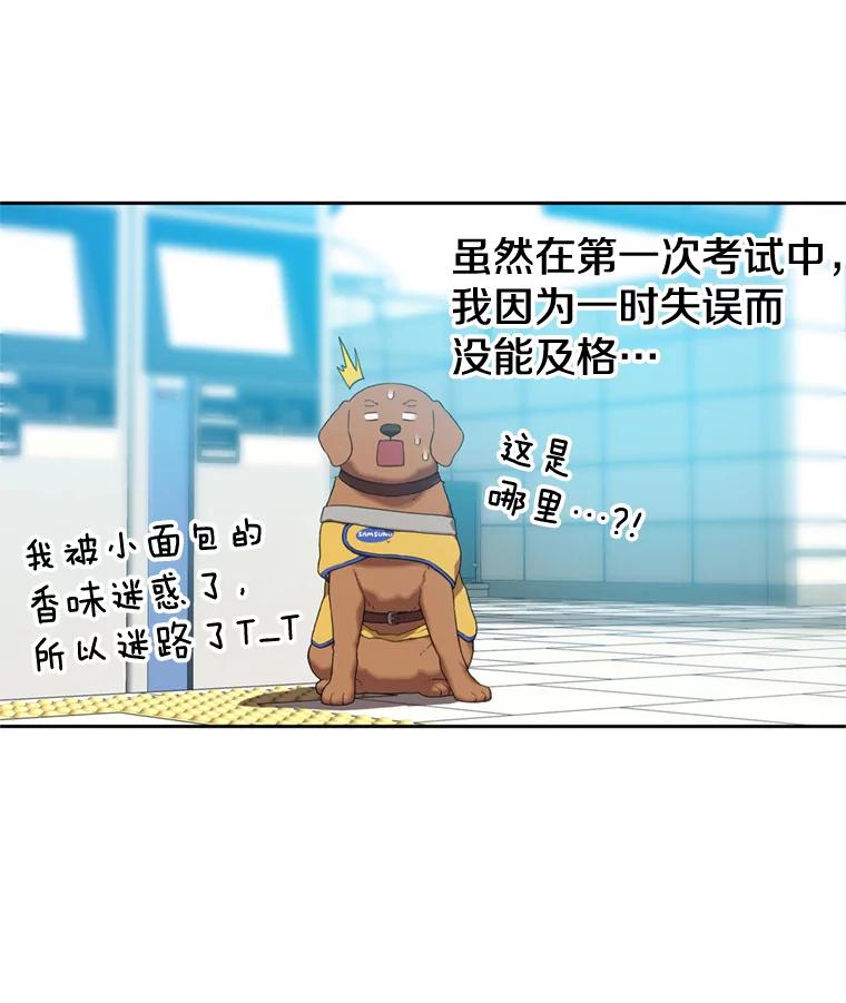 《彩虹桥守望者》104.导盲犬小云 第35页