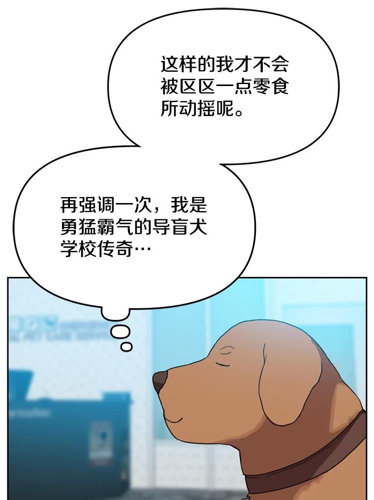 《彩虹桥守望者》104.导盲犬小云 第39页