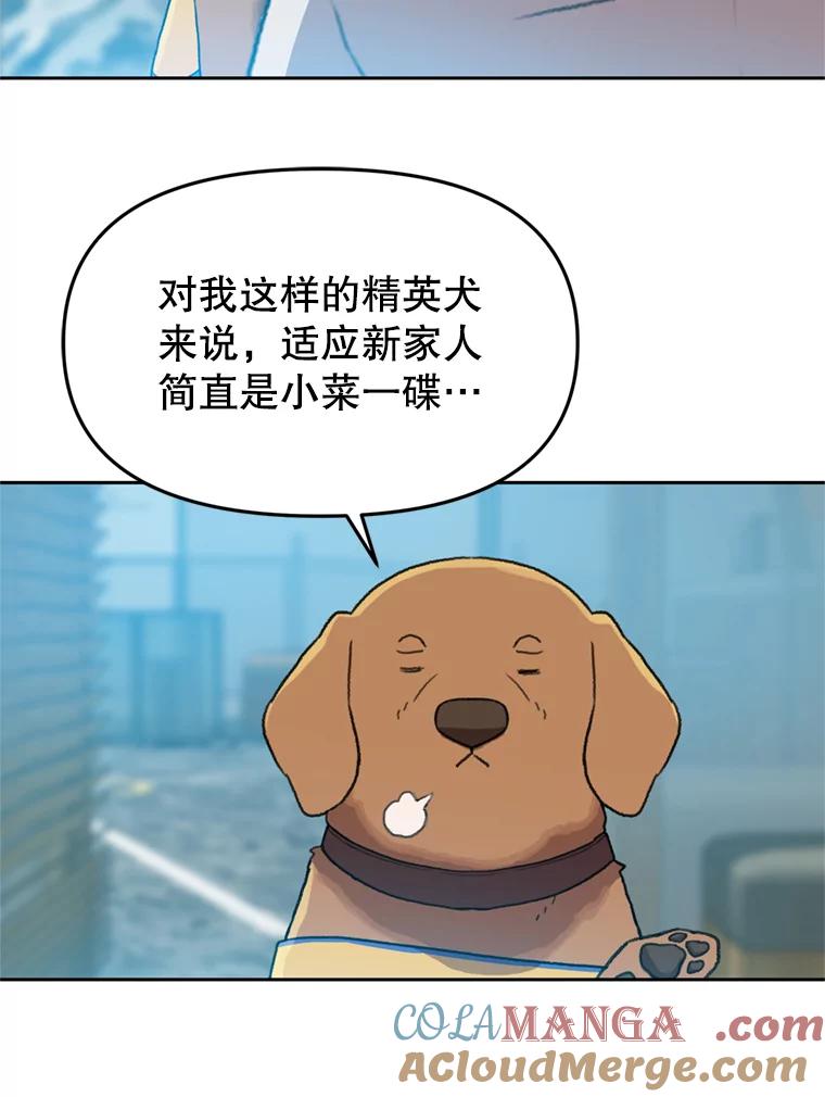 《彩虹桥守望者》104.导盲犬小云 第52页