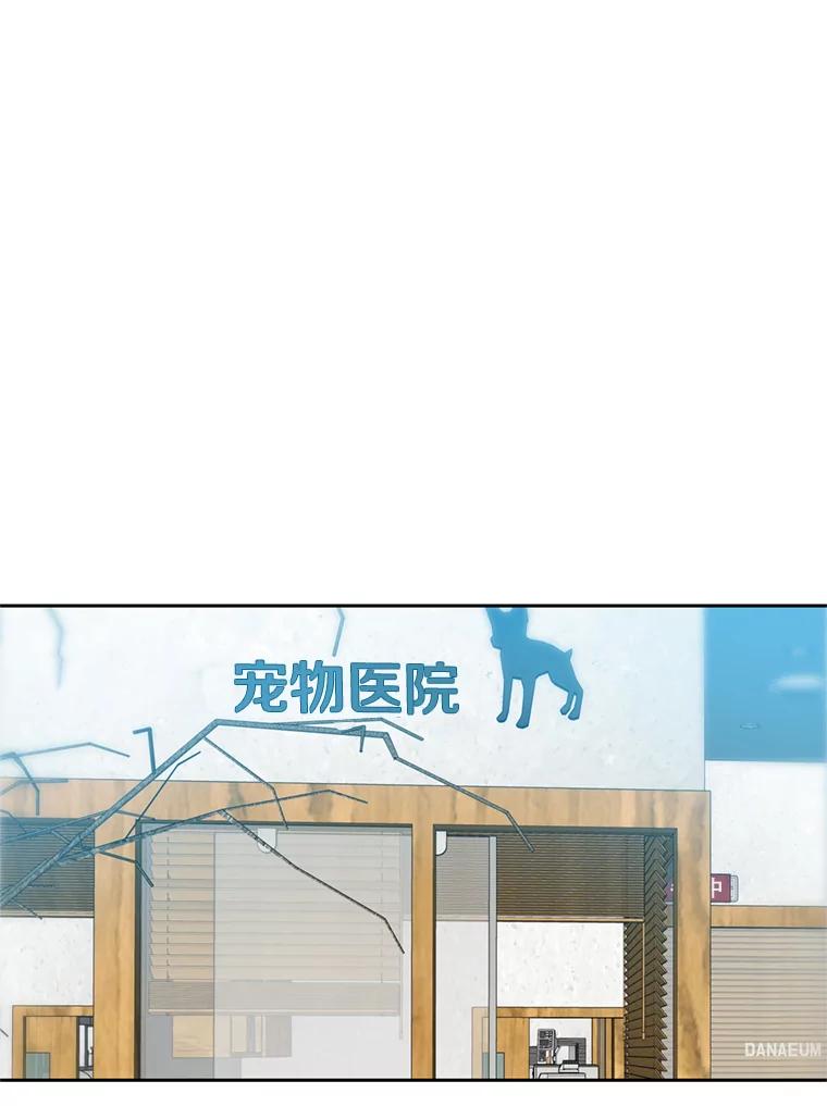 《彩虹桥守望者》104.导盲犬小云 第41页