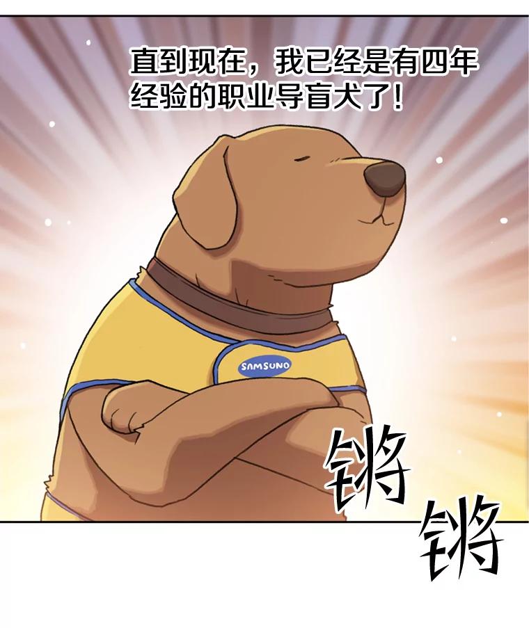 《彩虹桥守望者》104.导盲犬小云 第38页