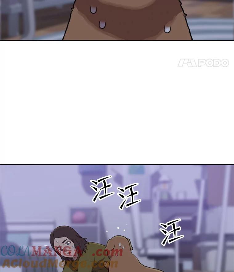 《彩虹桥守望者》105.小云不见了 第13页
