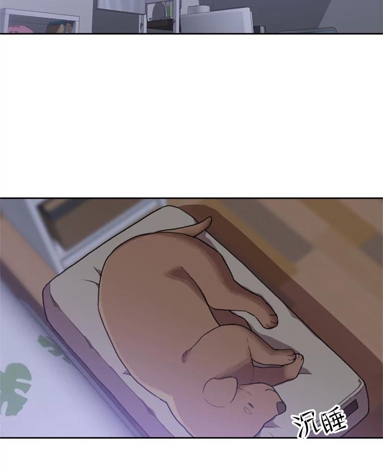 《彩虹桥守望者》105.小云不见了 第17页