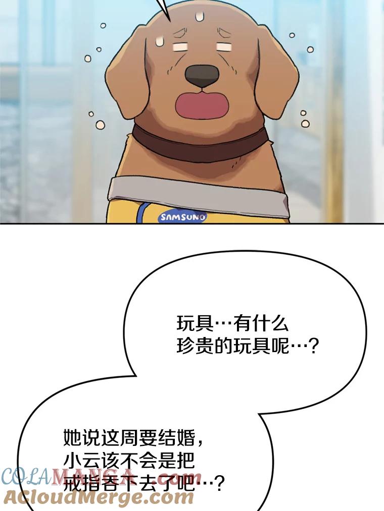 《彩虹桥守望者》105.小云不见了 第52页