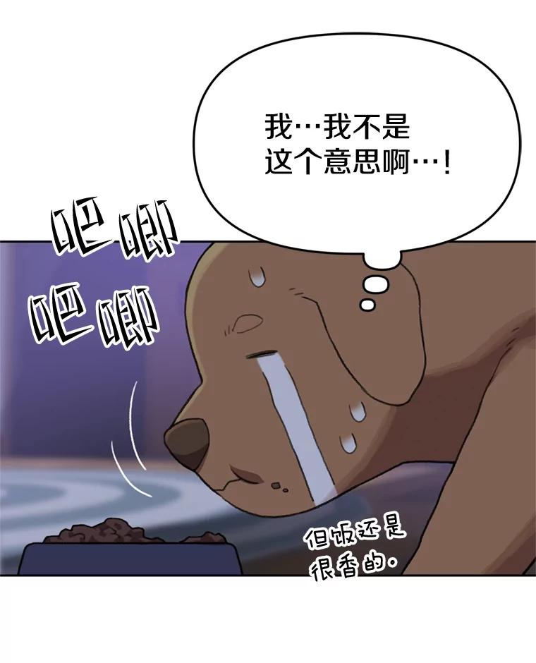 《彩虹桥守望者》105.小云不见了 第15页