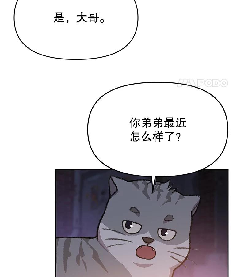 《彩虹桥守望者》108.假新闻 第51页