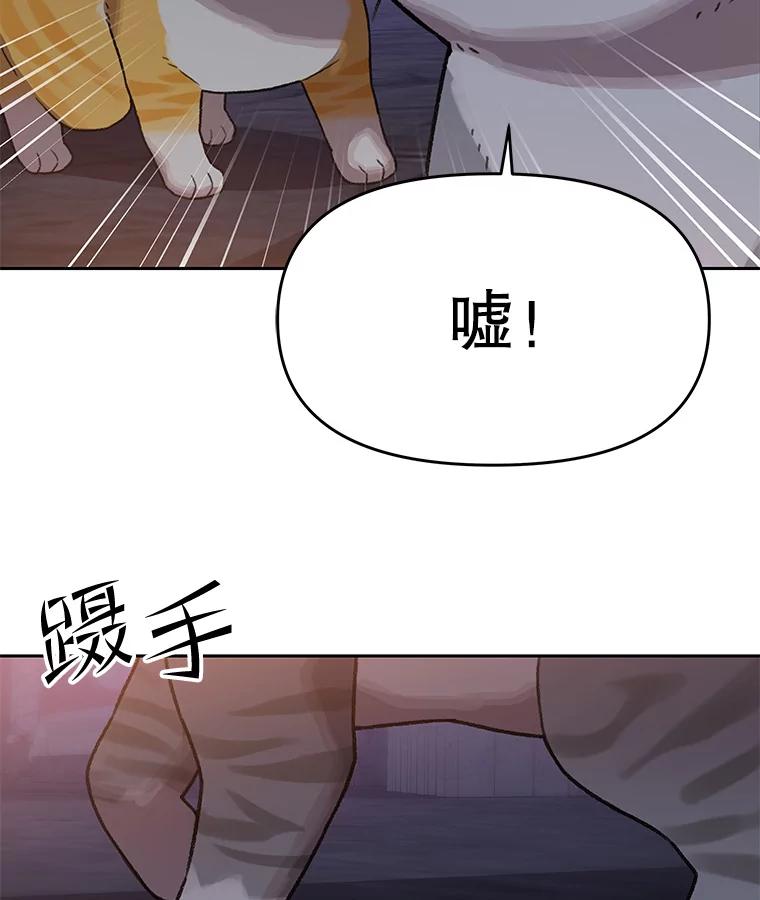 《彩虹桥守望者》108.假新闻 第56页