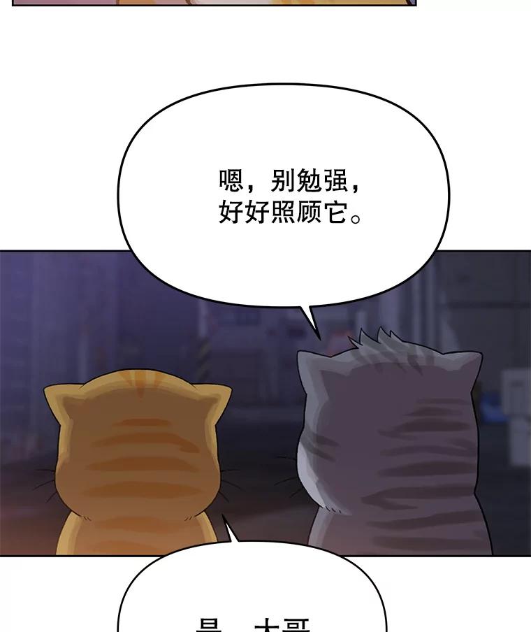 《彩虹桥守望者》108.假新闻 第53页