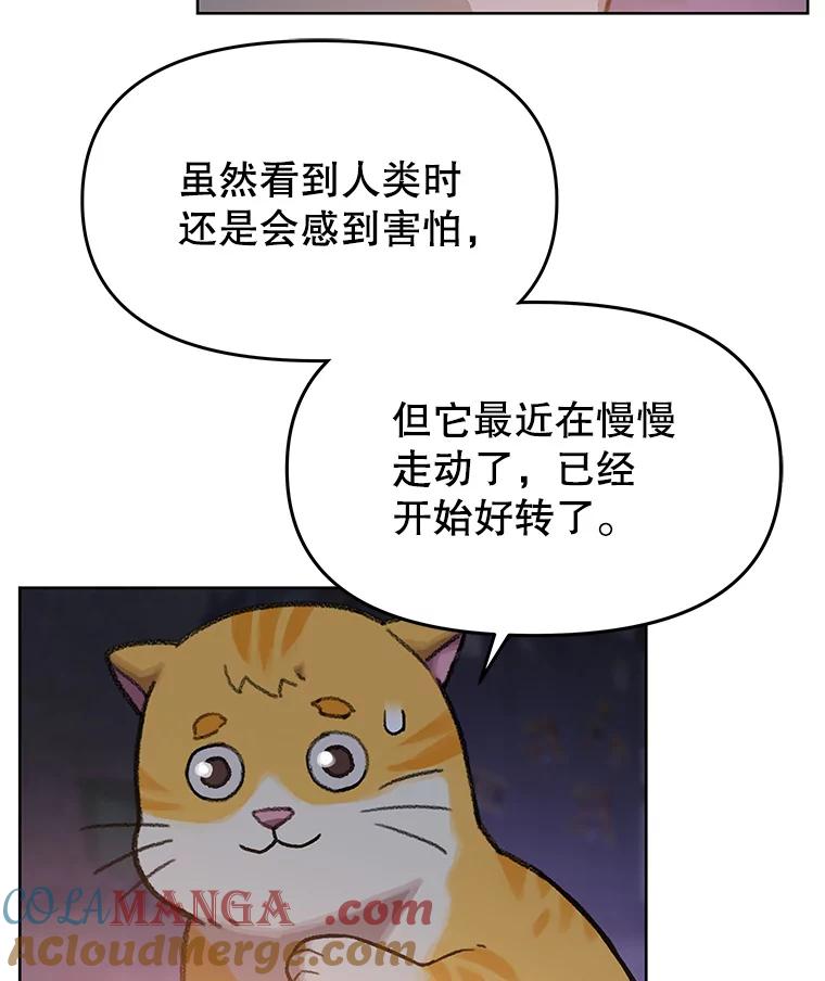 《彩虹桥守望者》108.假新闻 第52页