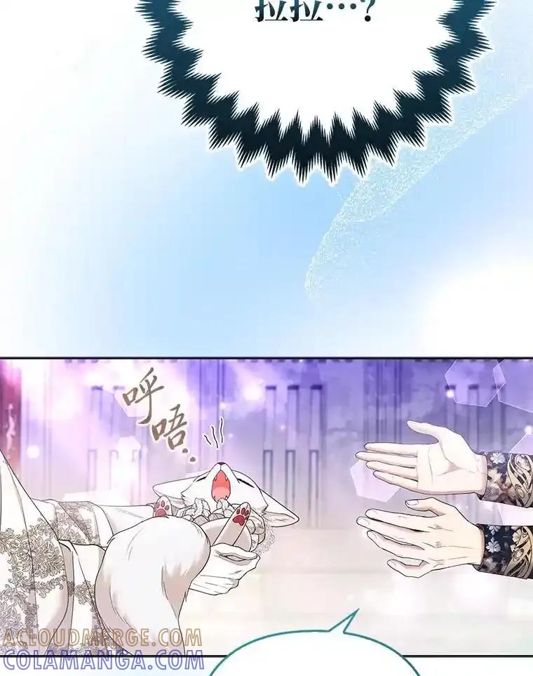 《大公家的狐狸皇女》54.回大公家 第73页