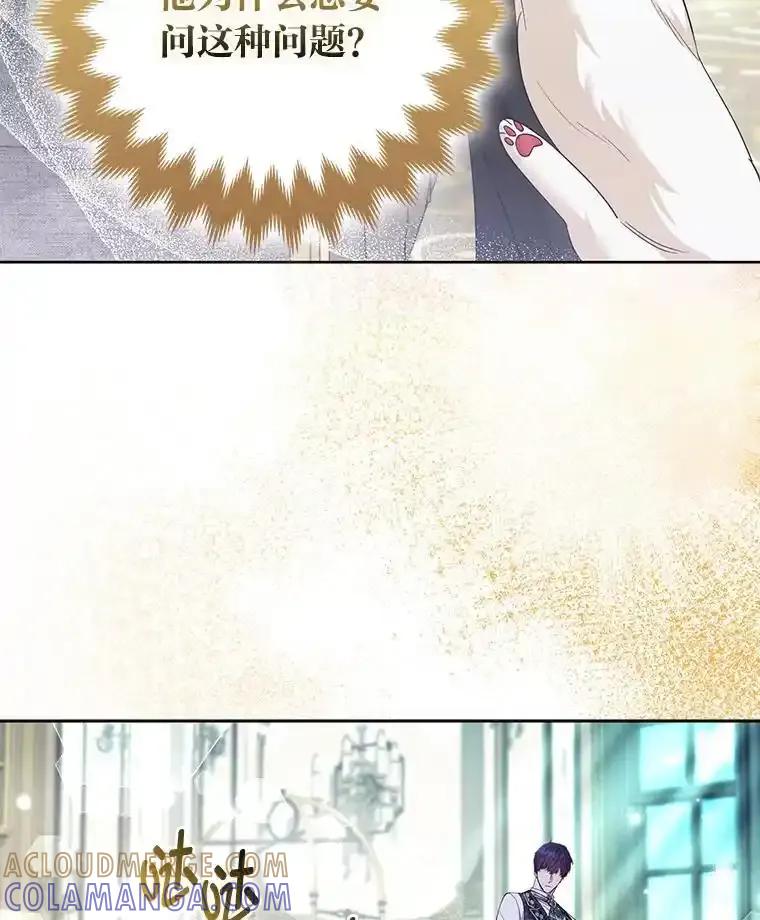 《大公家的狐狸皇女》55.“误会” 第33页