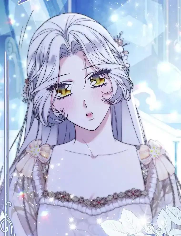 《大公家的狐狸皇女》55.“误会” 第83页