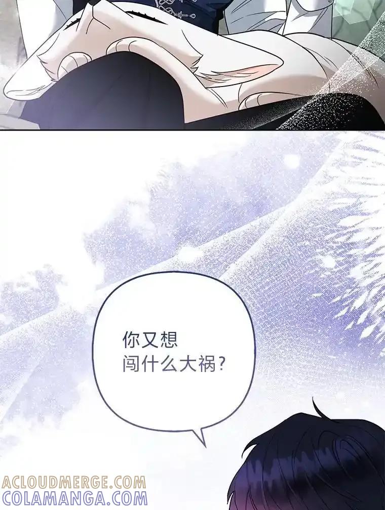 《大公家的狐狸皇女》55.“误会” 第29页