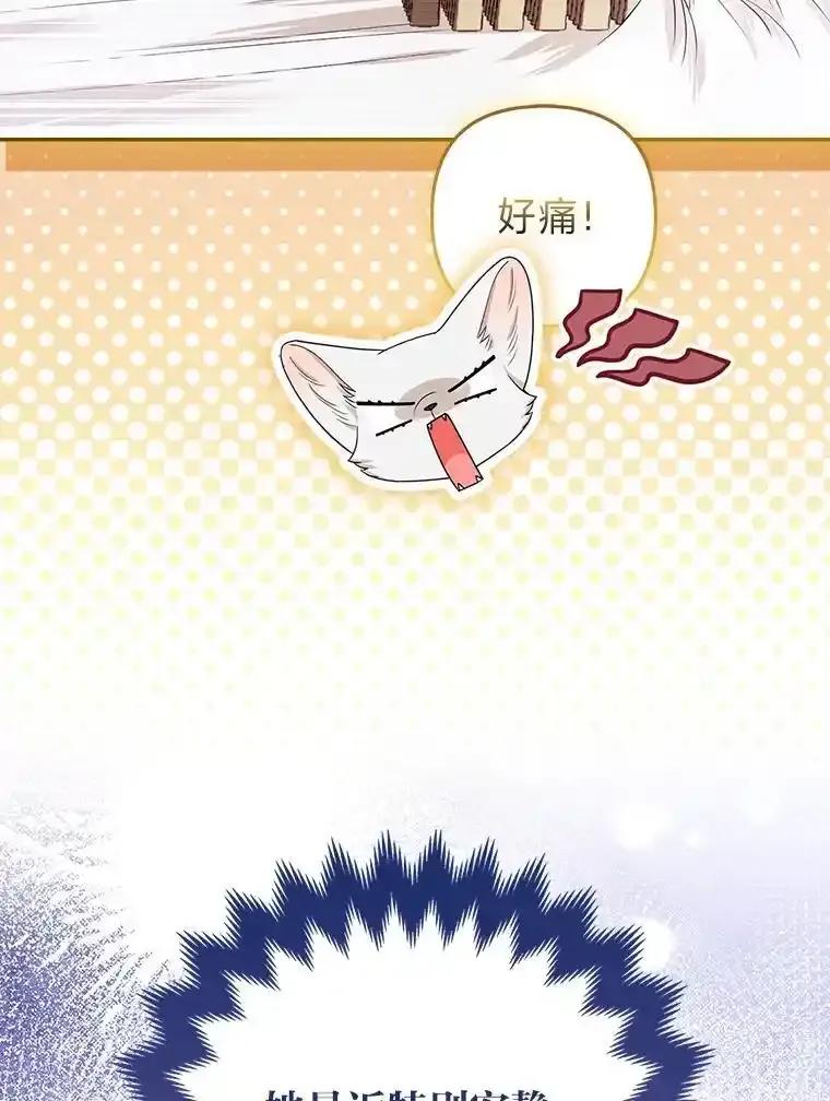 《大公家的狐狸皇女》55.“误会” 第27页
