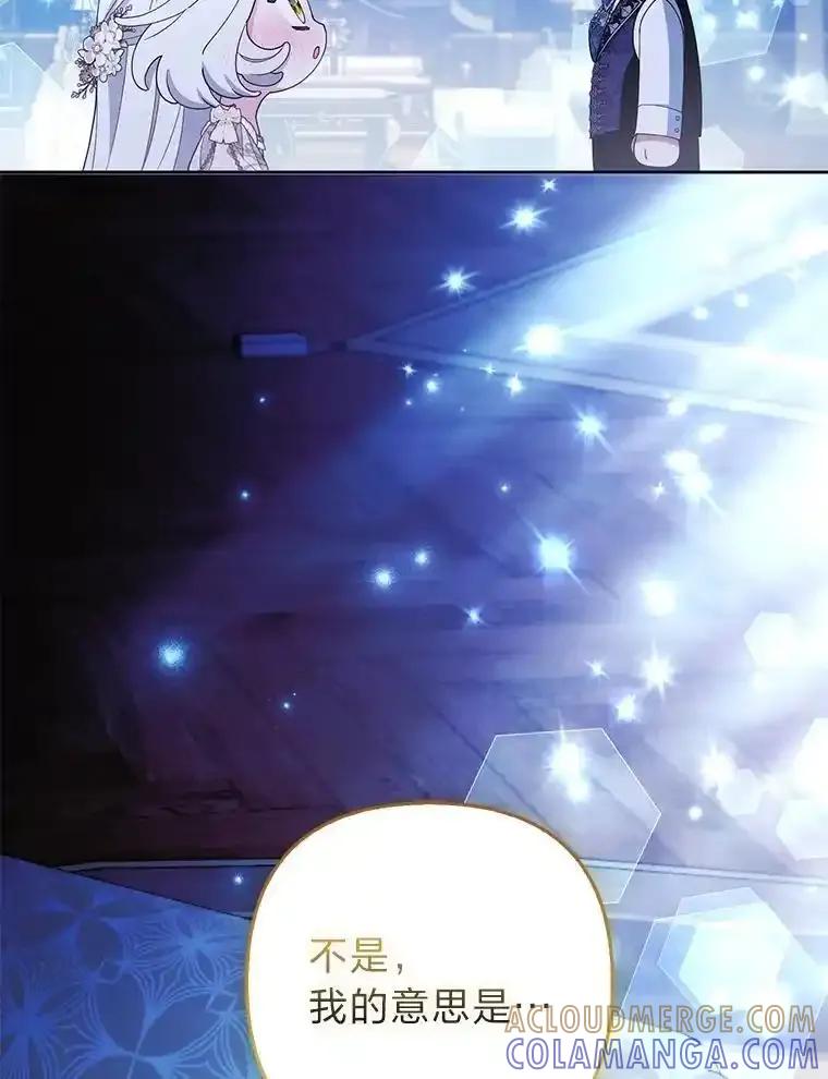 《大公家的狐狸皇女》55.“误会” 第85页