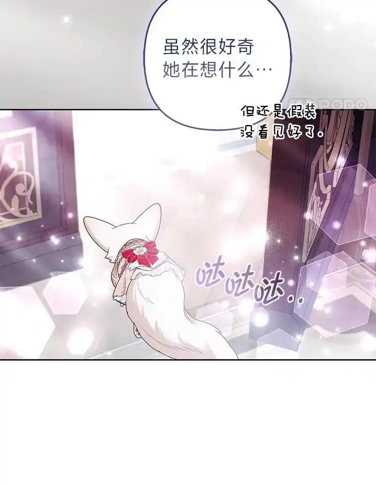 《大公家的狐狸皇女》56.祝你好运 第51页