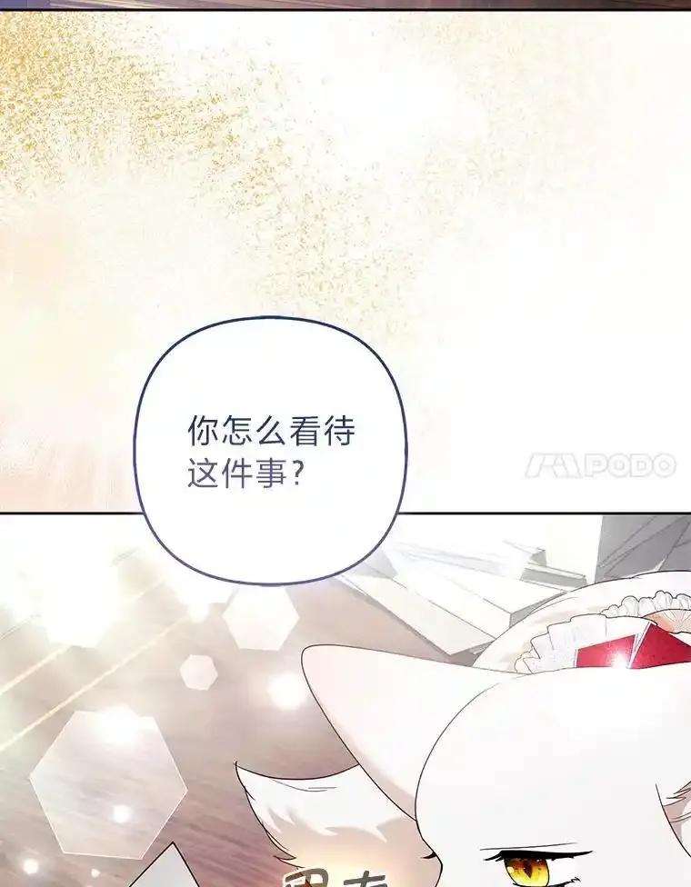 《大公家的狐狸皇女》56.祝你好运 第64页