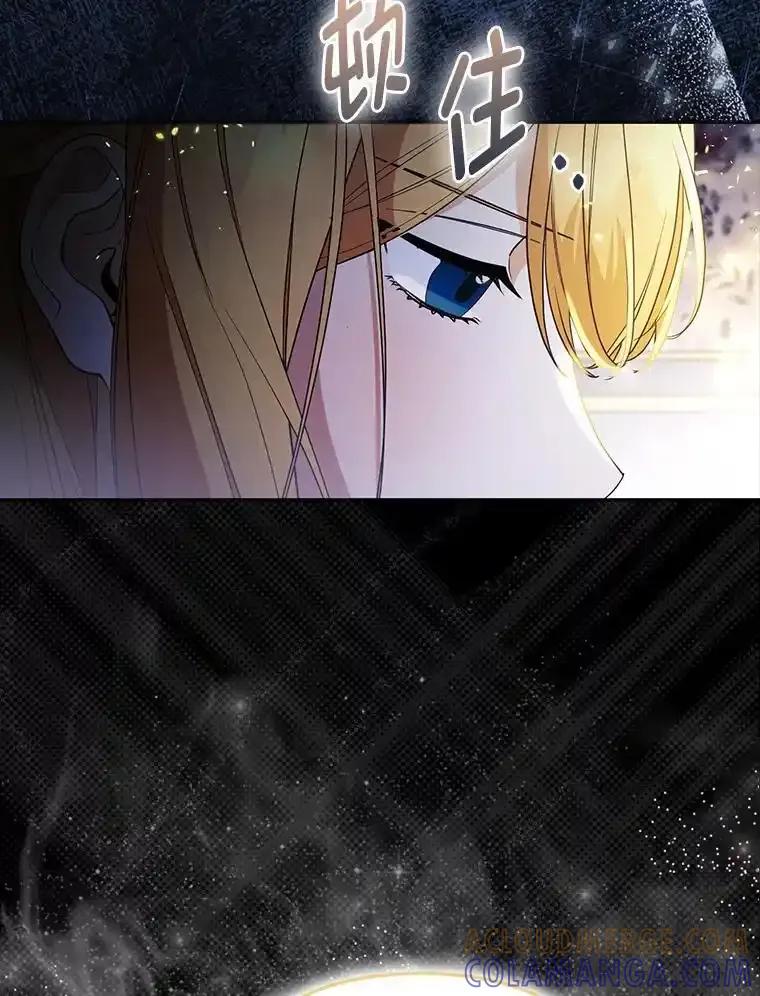 《大公家的狐狸皇女》56.祝你好运 第69页