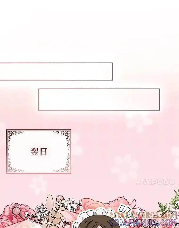 《大公家的狐狸皇女》56.祝你好运 第37页