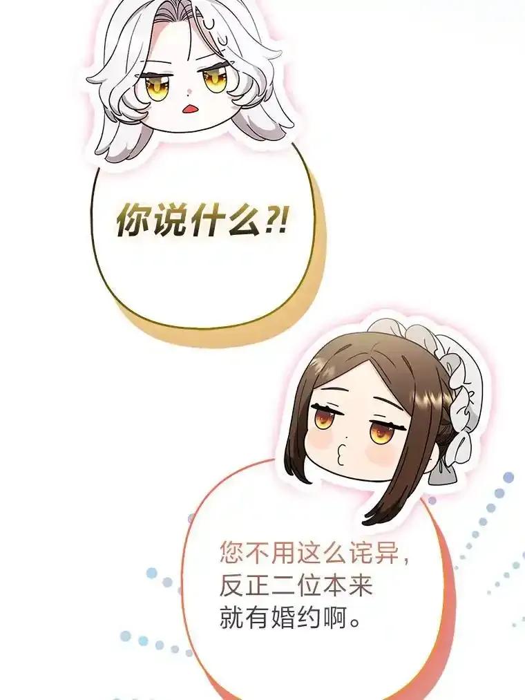 《大公家的狐狸皇女》56.祝你好运 第28页