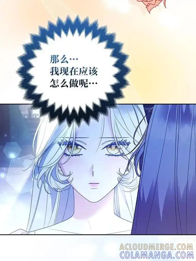 《大公家的狐狸皇女》56.祝你好运 第25页