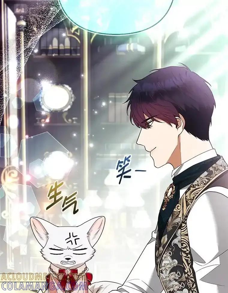 《大公家的狐狸皇女》56.祝你好运 第53页