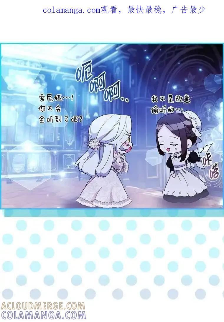 《大公家的狐狸皇女》56.祝你好运 第1页