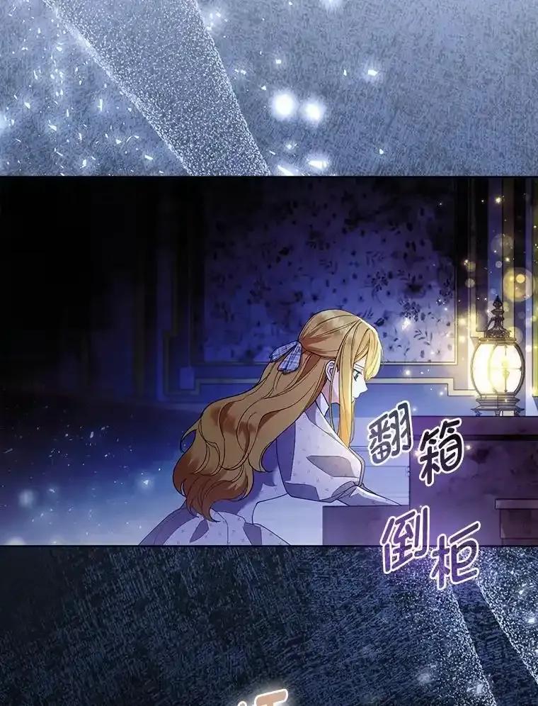 《大公家的狐狸皇女》56.祝你好运 第68页