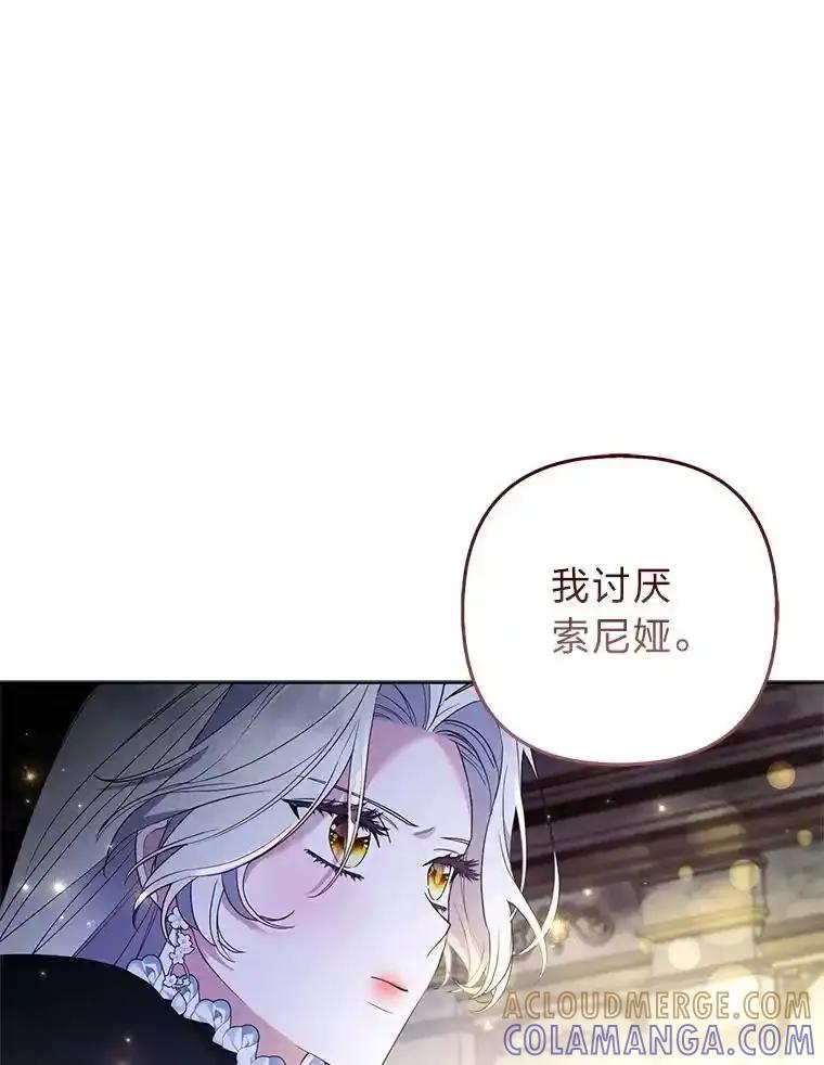 《大公家的狐狸皇女》56.祝你好运 第85页