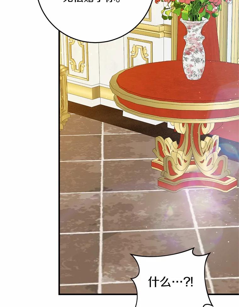 《从今天起，公爵府由我接管》59.改造领地 第66页