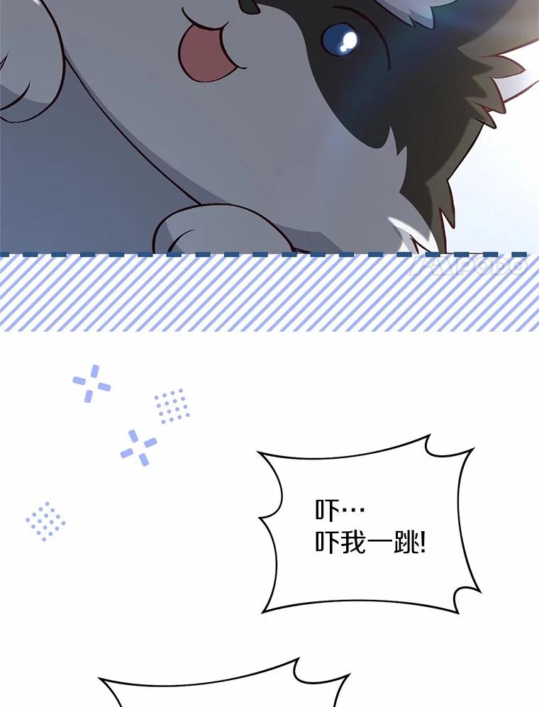 《从今天起，公爵府由我接管》59.改造领地 第107页