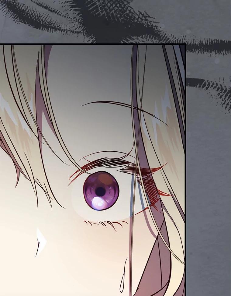 《从今天起，公爵府由我接管》59.改造领地 第39页