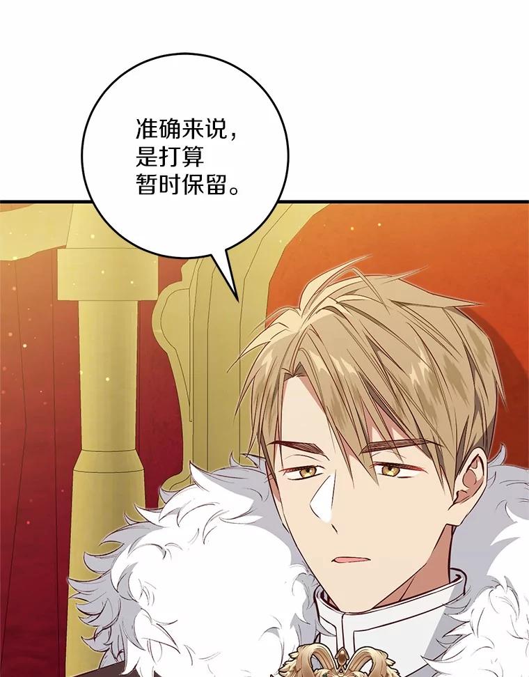 《从今天起，公爵府由我接管》59.改造领地 第28页