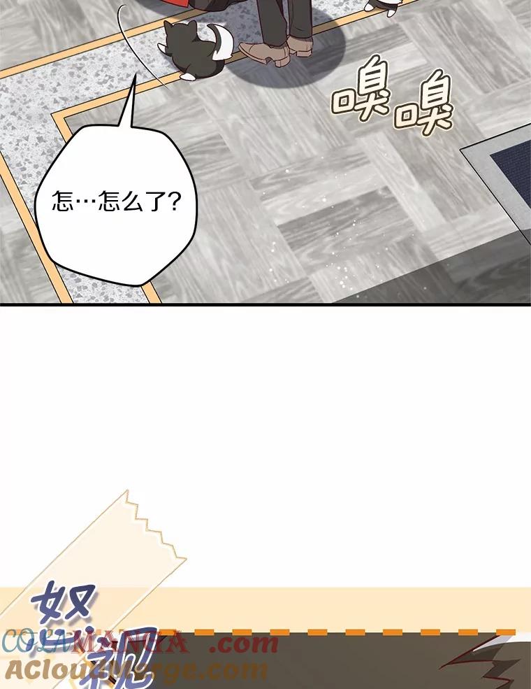 《从今天起，公爵府由我接管》61.魔力的气味 第13页