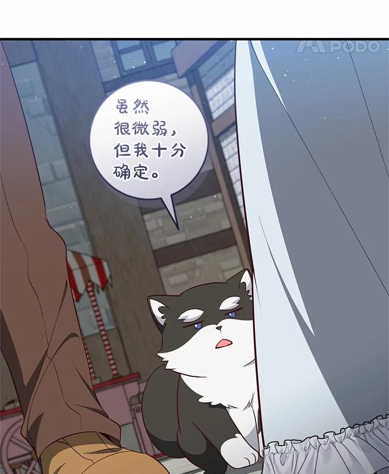 《从今天起，公爵府由我接管》61.魔力的气味 第100页