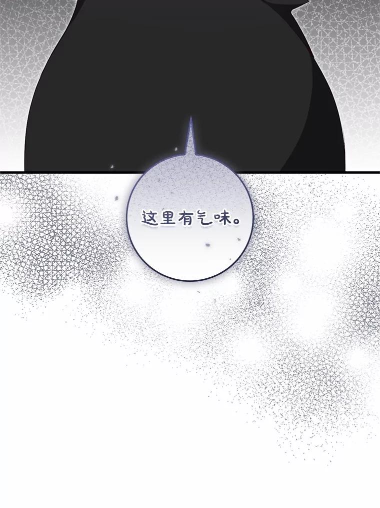 《从今天起，公爵府由我接管》61.魔力的气味 第99页