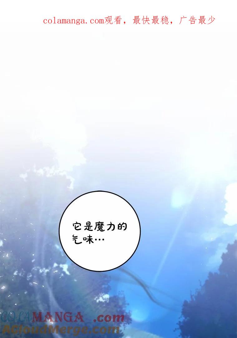 《从今天起，公爵府由我接管》62.竟然是他 第1页