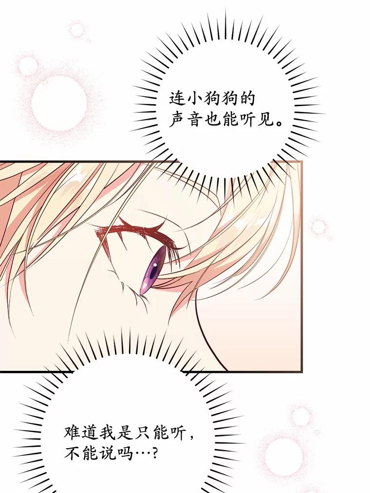 《从今天起，公爵府由我接管》62.竟然是他 第12页