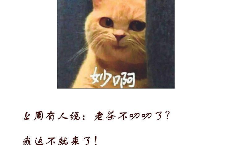 主角今天也在崩人设 第38话 呵，好朋友 第69页