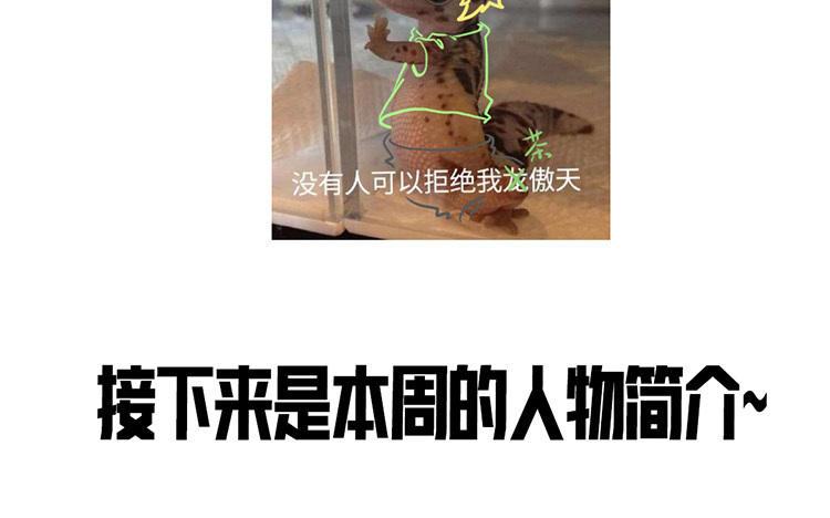 主角今天也在崩人设 第41话 心上人？ 第74页
