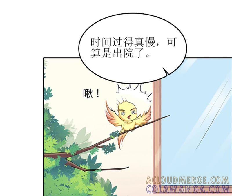《误入婚途：叛逆娇妻不好惹》是个男孩 第7页