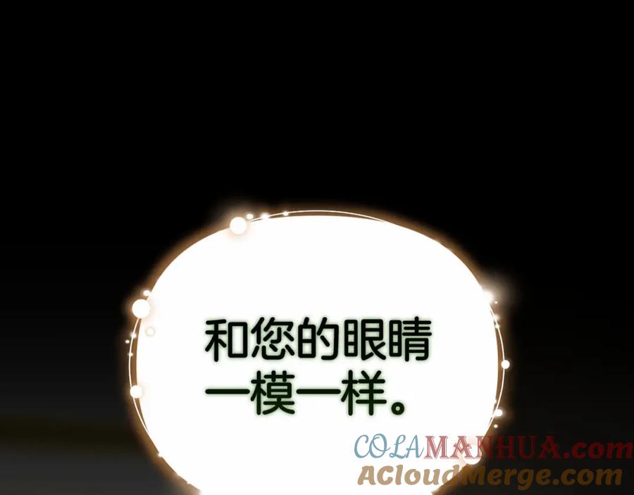 《这个婚反正也要完蛋》第34话 胸针的秘密 第121页