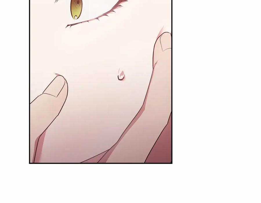 《这个婚反正也要完蛋》第40话 我只为你花钱 第112页