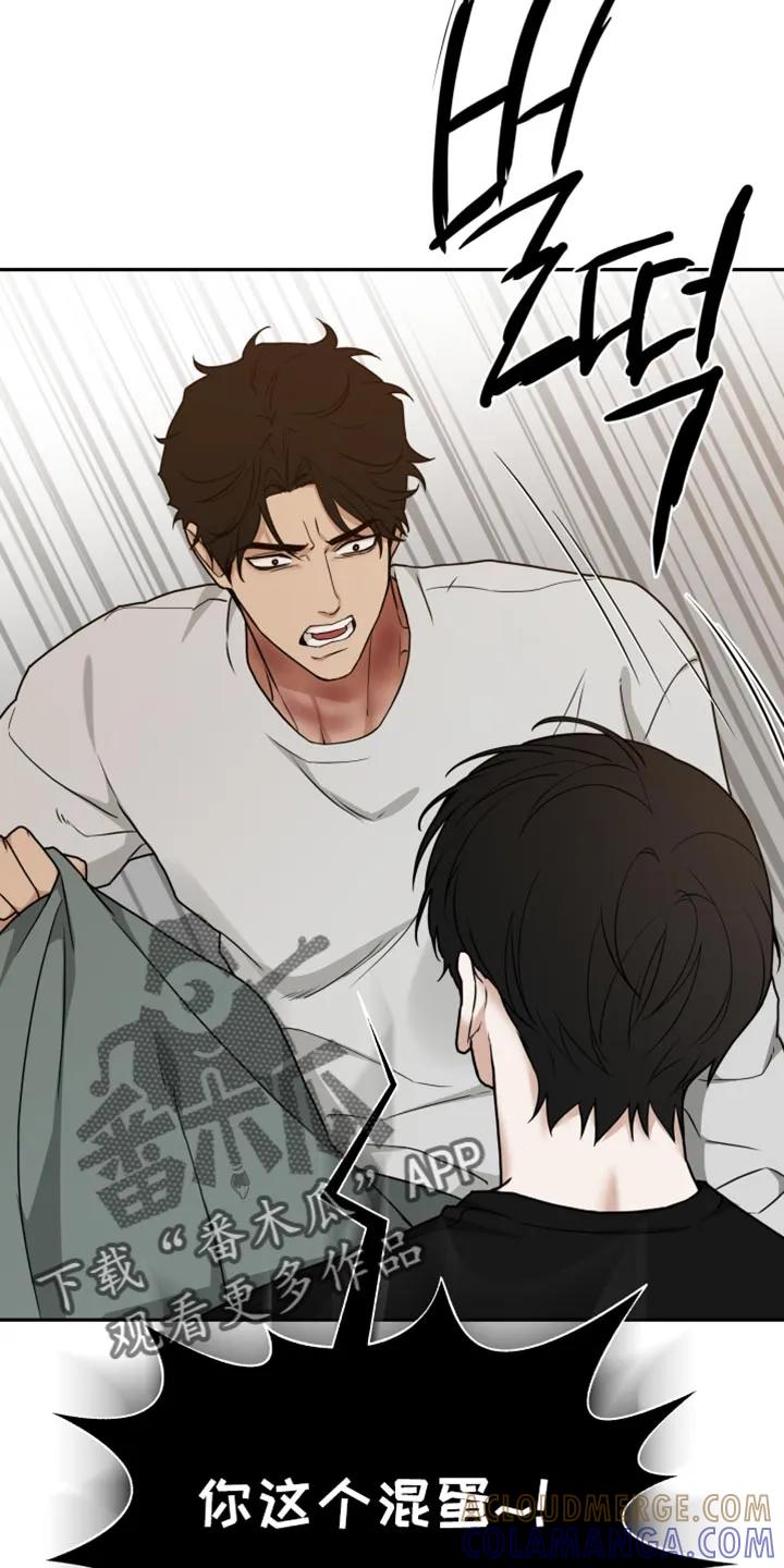 《错位的霸权》第54章：狡猾的家伙 第13页