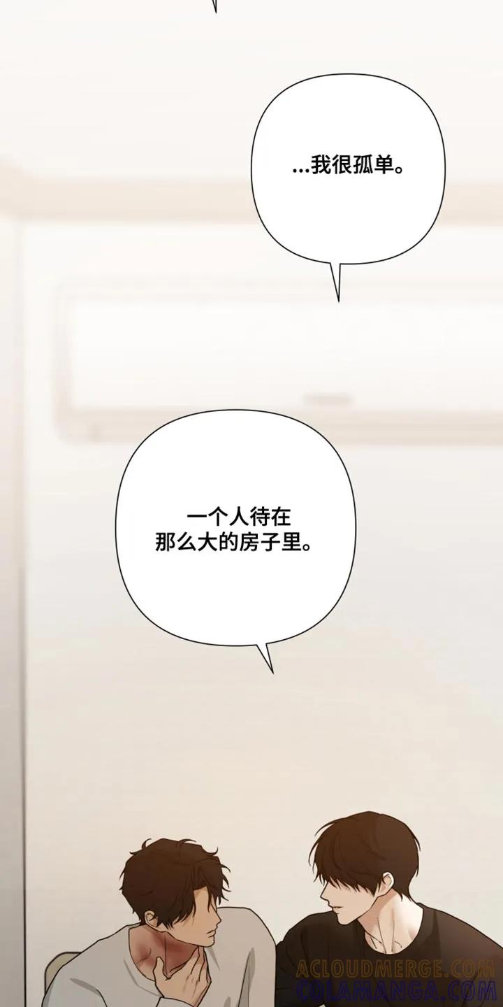 《错位的霸权》第54章：狡猾的家伙 第17页