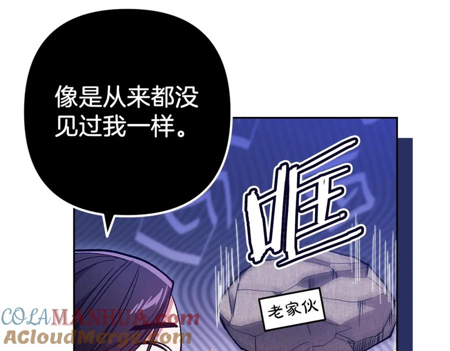 《这个婚反正也要完蛋》第49话 生下孩子就离开卡西 第117页