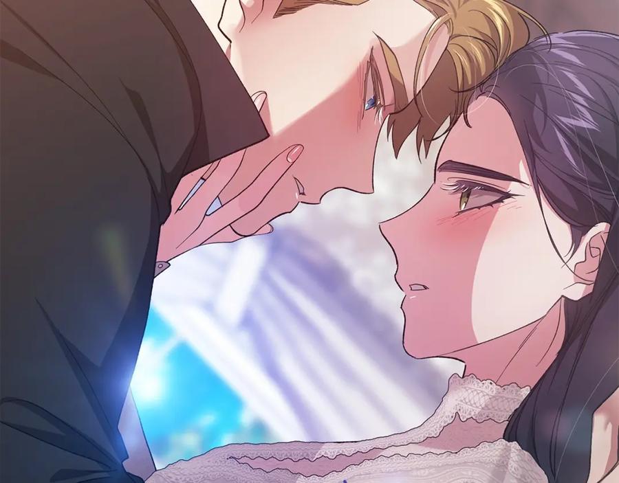 《这个婚反正也要完蛋》第51话 你生来就是为了嘲笑我 第242页