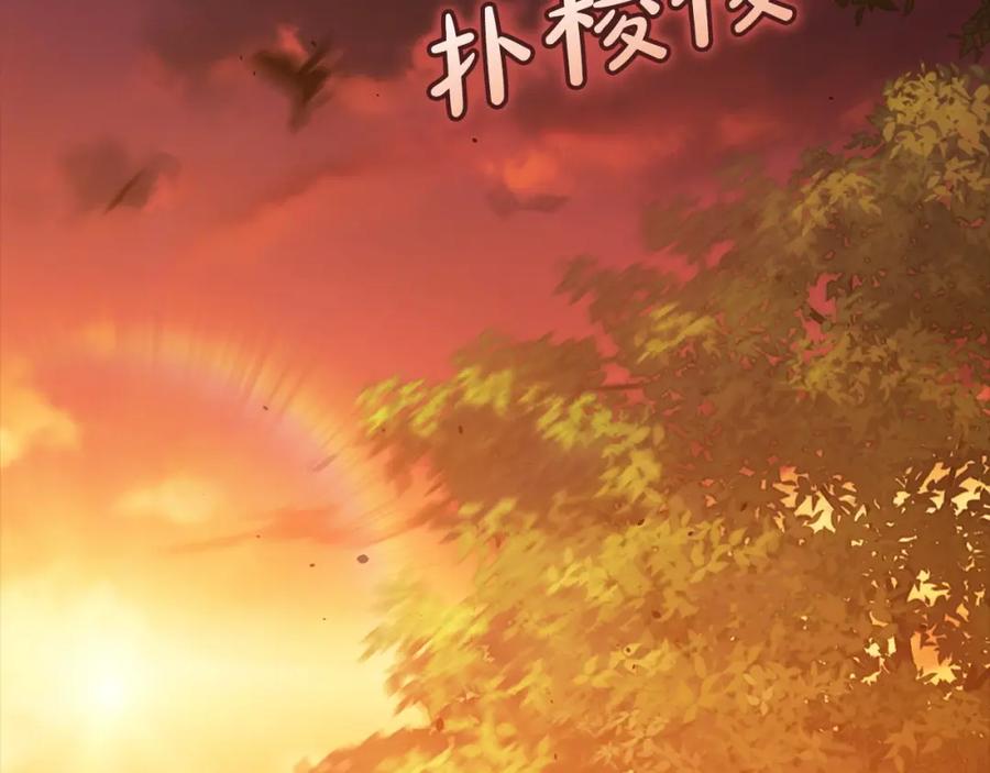 《这个婚反正也要完蛋》第53话 最高贵的女人 第152页