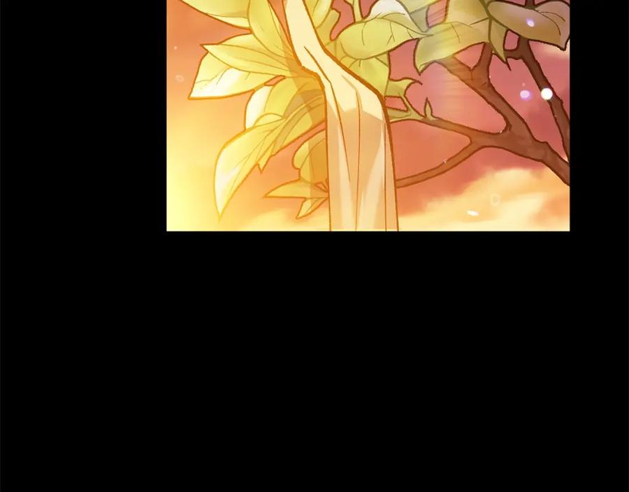 《这个婚反正也要完蛋》第53话 最高贵的女人 第155页