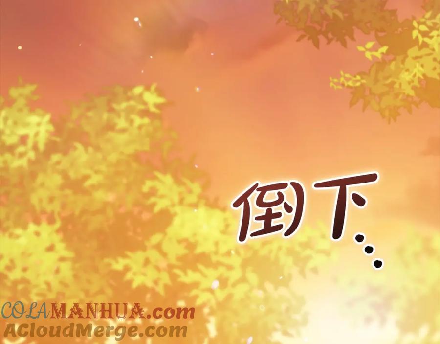 《这个婚反正也要完蛋》第53话 最高贵的女人 第209页